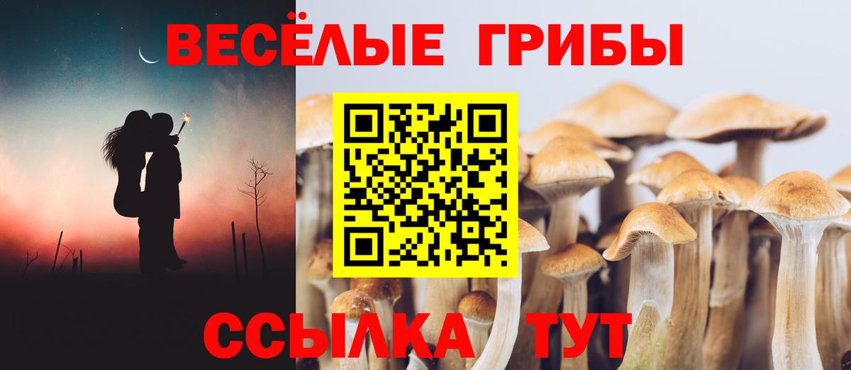 Гай  Галлюциногенные грибы GOLDEN TEACHER  магазин  наркотиков  Галлюциногенные грибы ЛСД  Вход с VPN 